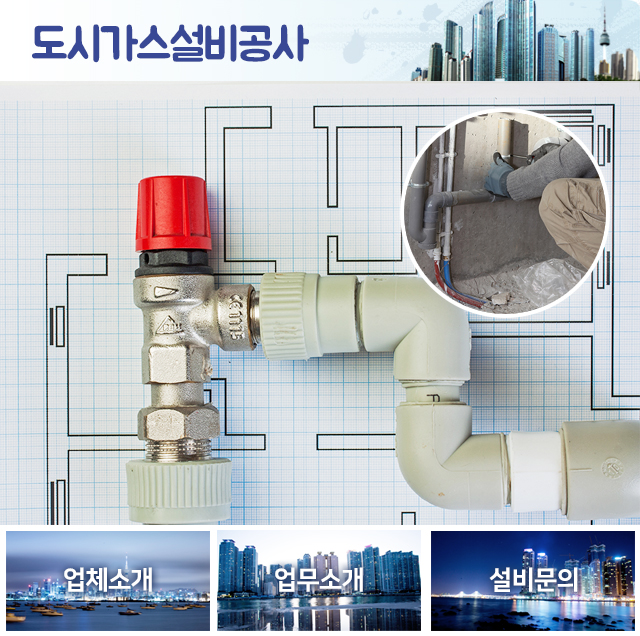 사진 파일